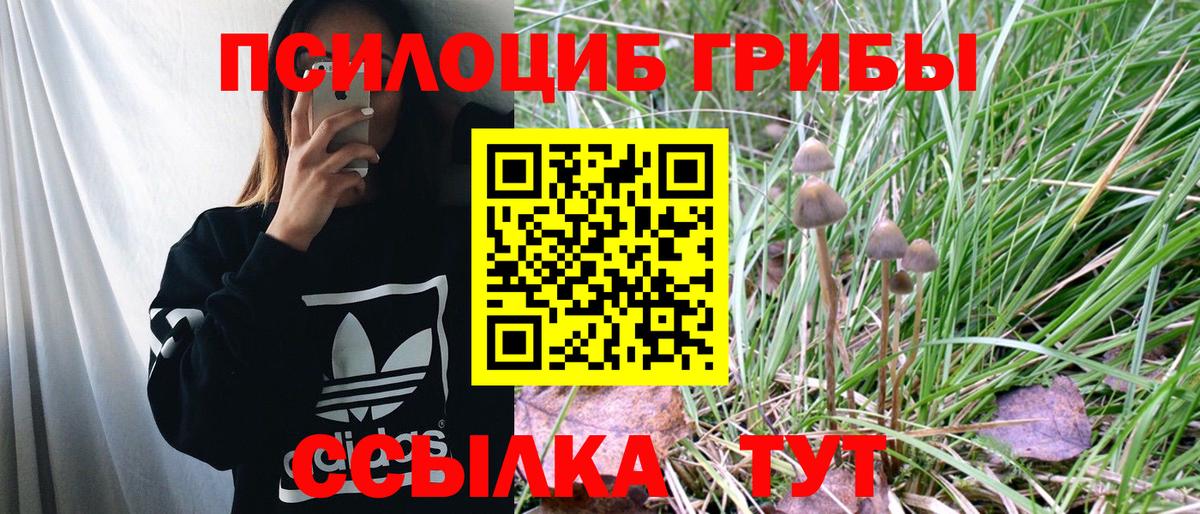 Галлюциногенные грибы Magic Shrooms Реж